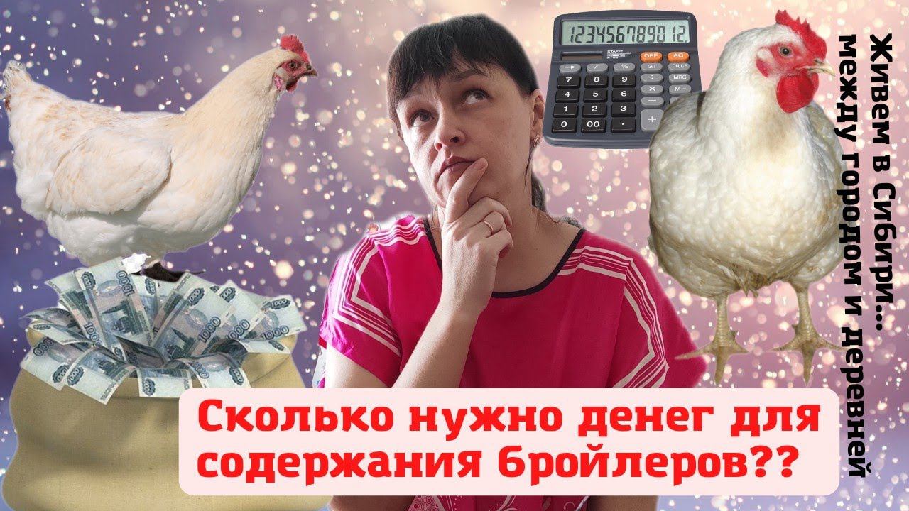 29.03.2022 Сколько нужно денег для содержания бройлеров?? Хожу по магазинам изучаю стоимость кормов