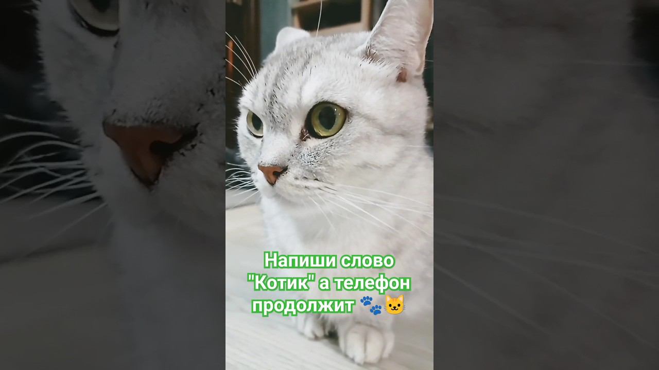 Получится разборчиво? #Shorts смотреть онлайн