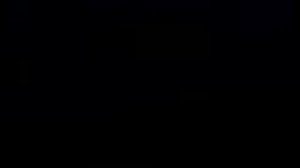 Запорожские казаки История Украины