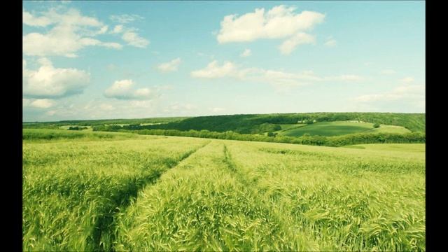 Зеленые поля (cover version) смотреть онлайн