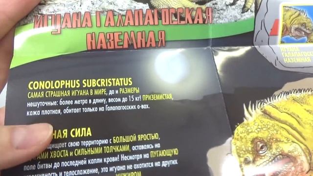 Игуаны&КО. Хищные ящерицы и не только. Новинка от ДеАгостини. смотреть онлайн