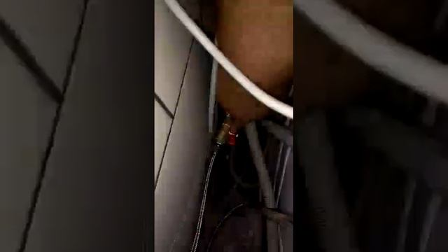 Домашний Дизайнерский Заворот