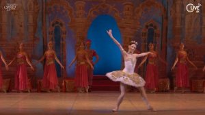 Людвиг Минкус "БАЯДЕРКА" - LIVE 4K