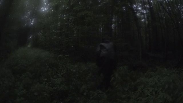 Манок на волка, ваба на волка. Подвывка волков. смотреть онлайн