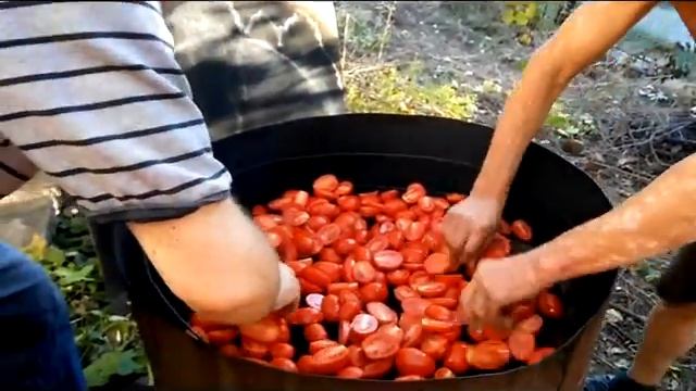 Вяленые помидоры смотреть онлайн