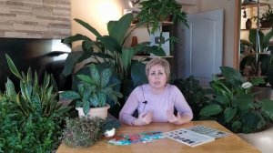 СЕЗОН 2020: СРОКИ ПОСАДКИ ОВОЩЕЙ НА РАССАДУ Производим правильные расчеты / Садовый гид