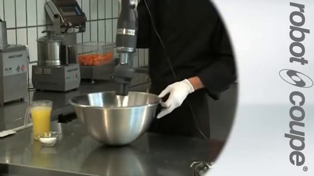 Ручной миксер Robot Coupe CMP 300 Combi смотреть онлайн