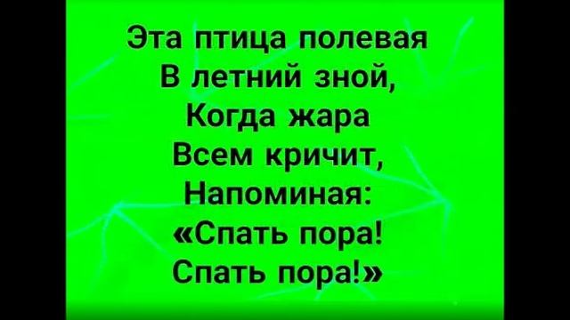 Познавательная викторина "Наши пернатые друзья" смотреть онлайн