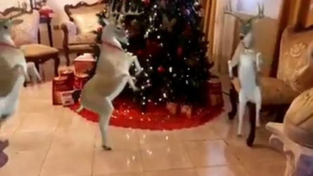 Новогодний олень смотреть онлайн