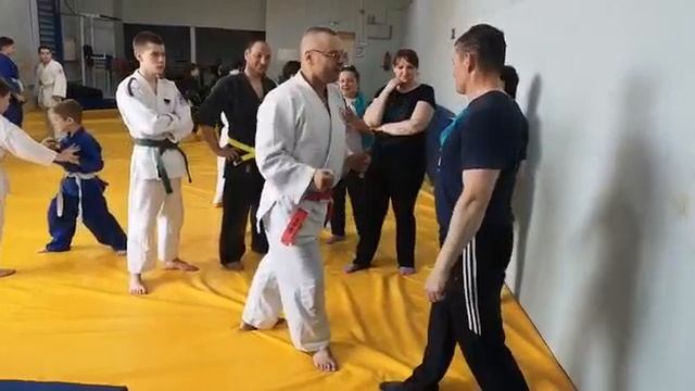 Как вывести из равновесия в Айкидо. Принцип "кудзиши". смотреть онлайн