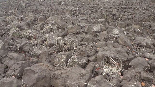 КАК МЫ ИЩЕМ МОНЕТЫ. В ПОИСКАХ ЗОЛОТА ИМПЕРИЙ.IN SEARCHING FOR GOLD OF EMPIRE смотреть онлайн