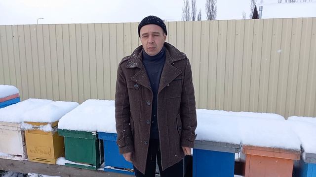 Изоляция маток для нас неприемлема смотреть онлайн