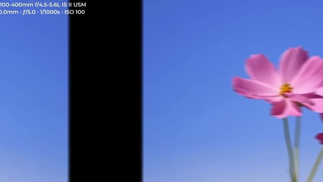 Canon EOS 7D Mark II (4K) Sample Images with Camera Settings (2023) смотреть онлайн