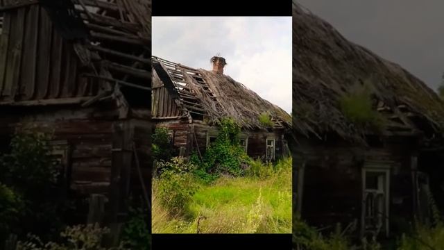 Заброшенный дом в деревне в Беларуси. Крыша покрыта камышом. Полесье #беларусь смотреть онлайн