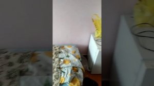 Обзор номера, Красный Бор санаторий Смоленск