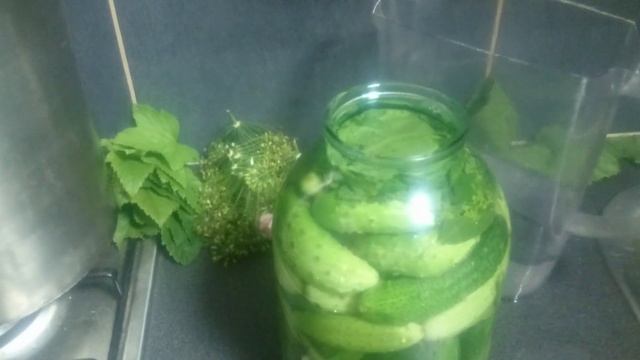 Соленые огурцы, часть 3