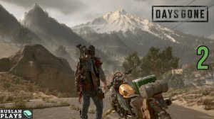 Прохождение Days Gone - Часть 2: Ищем стерильные бинты для Бухаря [СТРИМ 2К]