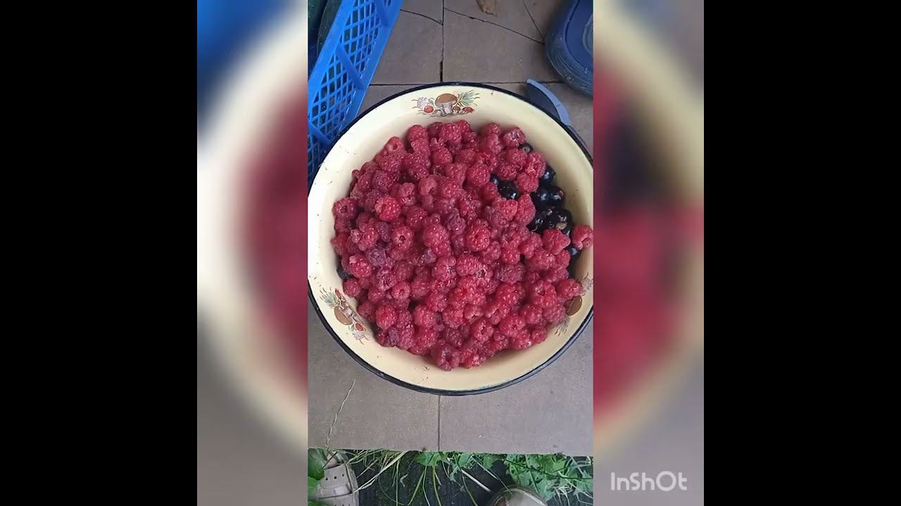 Про дачу, огород и малину #дача #огород #малина смотреть онлайн