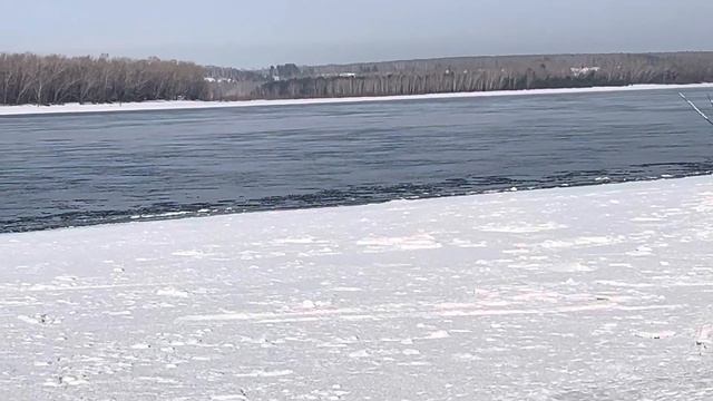 Прогулка по нашему поселку до Енисея. смотреть онлайн