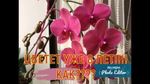 Как мама ухаживает за Орхидеей?