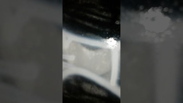 Граффити бомбинг в обнинске. ///#graffiti #граффити #throwup #tagging #теггинг #graffitibombing смотреть онлайн