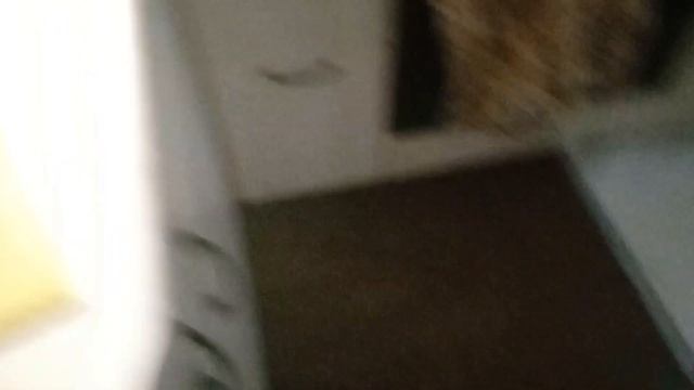 играем в farming simulator 17/на руле!!!\снимал на телефон смотреть онлайн