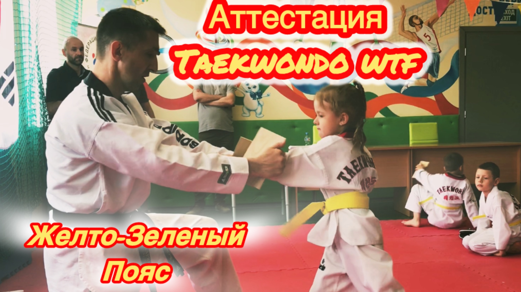 Аттестация на желто-зеленый пояс Taekwondo wtf смотреть онлайн