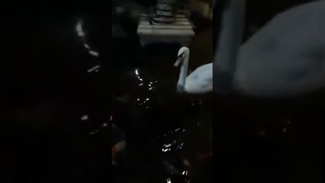 Океанариум казань советую сходить