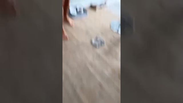 Как Взбесить Парня За Секунду | Приколы От @mona_makarona | Тик Ток #Shorts смотреть онлайн