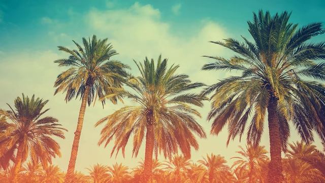 ЗВУКИ ДЛЯ РЕЛАКСАЦИИ звуки пакетов,  звуки природы,музыка для сна,расслабляющая музыка