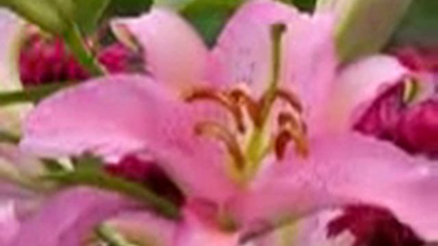 Прощальный вальс.flv смотреть онлайн