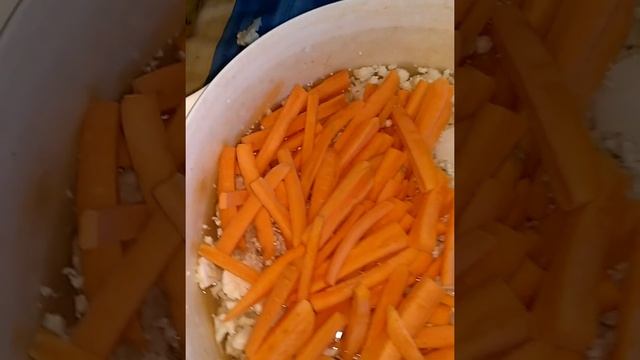 ПРОТИВОВИРУСНАЯ ЦВЕТНАЯ КАПУСТА смотреть онлайн