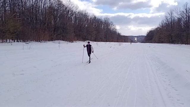 Классические лыжи на камусе Rossignol Delta Comp R-Skin, Kastle RX10 смотреть онлайн