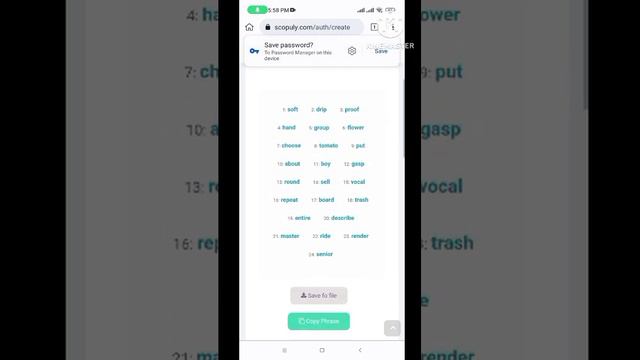 How to create a Scopuly Wallet (Stellar) смотреть онлайн
