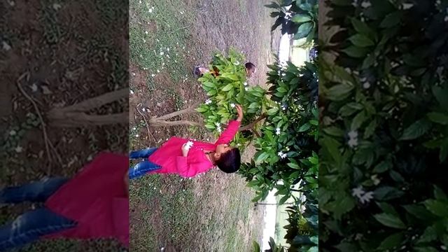 Javarul смотреть онлайн