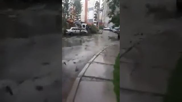 Димитровград. Стихия. Последствия смотреть онлайн