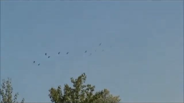 Такая сложная наука просто жить.wmv смотреть онлайн