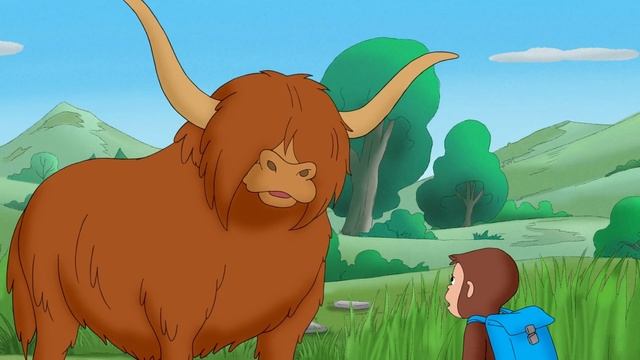 ? Looking for the Loch Ness Monster | CURIOUS GEORGE смотреть онлайн