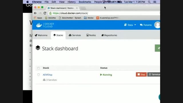 Increase Agility with AEM and DevOps - Vasa Vishveshvara, Chief Digital Architect, Deloitte Digital смотреть онлайн