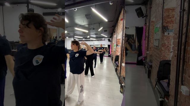 Обучение и повышение квалификации Цигун-инструкторов по международной программе с выдачей документов смотреть онлайн