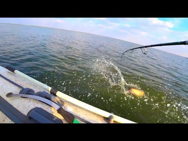 РЫБАЛКА НА КВОК И ДОНКИ КРОКОДИЛ РЫБАЛКА НА СОМА И САЗАНА С ЛОДКИ смотреть онлайн