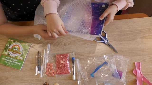 Муравьиная ферма. Видео как собрать муравьиную ферму. смотреть онлайн