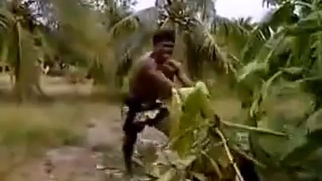 Кикбоксер смотреть онлайн