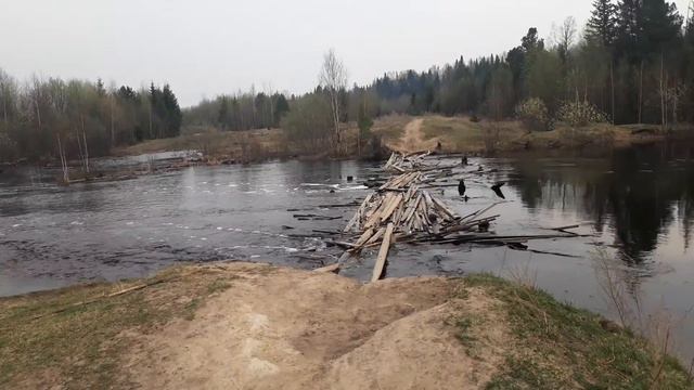 Бежит вода,шумит вода! смотреть онлайн