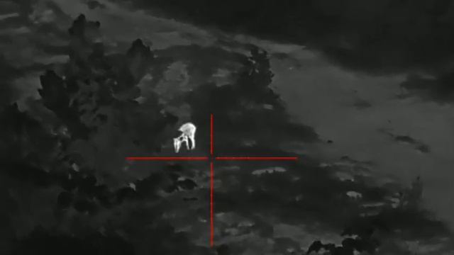 Rekaman video PARD SA32-LRF смотреть онлайн