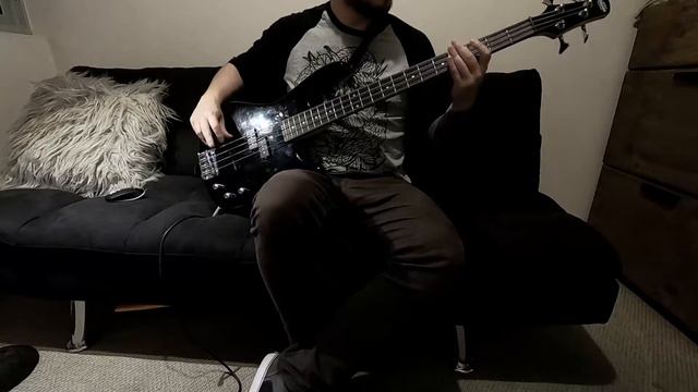 Soulfly - Pain (Bass cover) смотреть онлайн