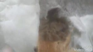 Аскона матрац- худшее качество.