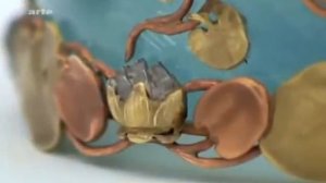 Яйцо Фаберже "Лебедь", 1906 год