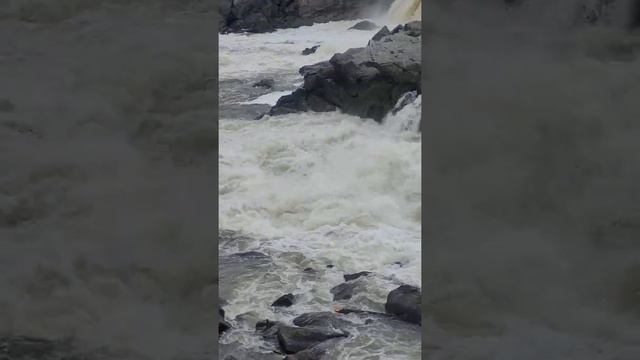 Great Falls 2021 MD, US Сплав по реке Потомак, Мэриленд, США смотреть онлайн
