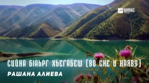 Рашана Алиева - Сийна бlаьрг хьегабеш (Во сне и наяву) | KAVKAZ MUSIC CHECHNYA